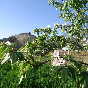 Casa rural La Serrana De, Aracena