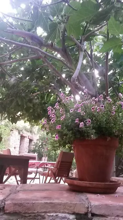 Molino Del Machero Guest House Puebla De Don Fadrique Country house